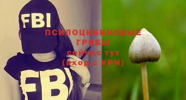 ALPHA PVP Няндома