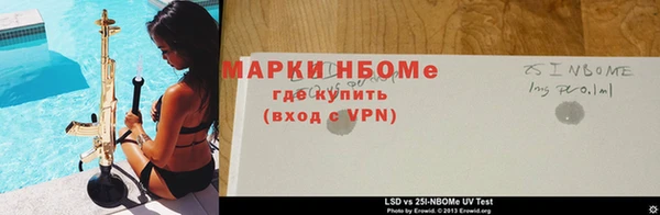 сатива Новодвинск