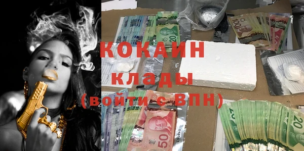 сатива Новодвинск