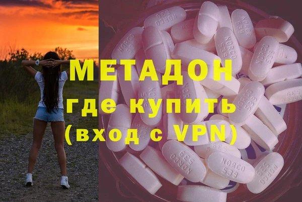 сатива Новодвинск