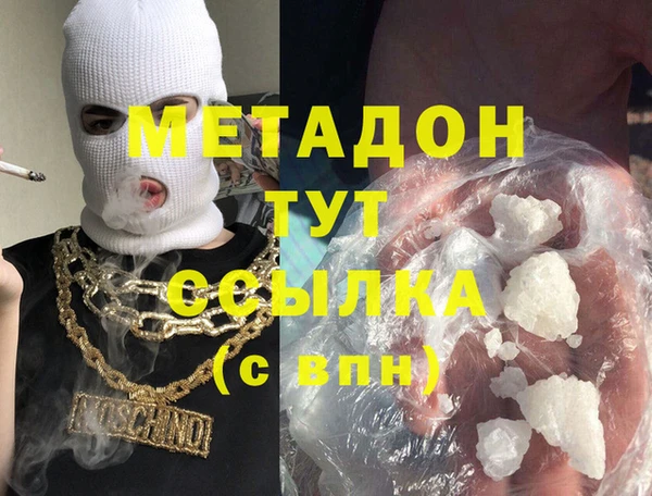 сатива Новодвинск