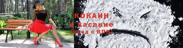 сатива Новодвинск