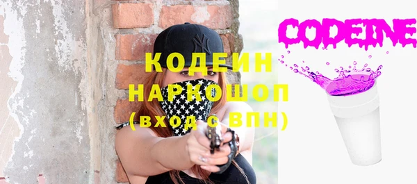 ALPHA PVP Няндома